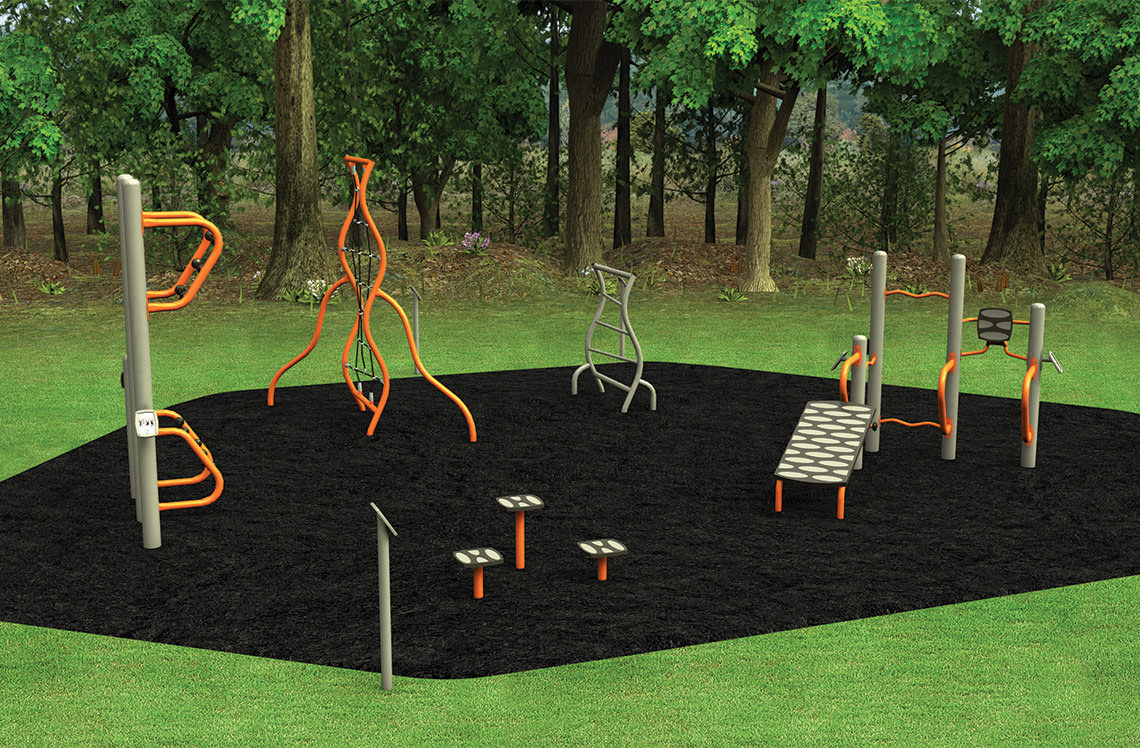 Park Fitness Equipment - Landscape Structures